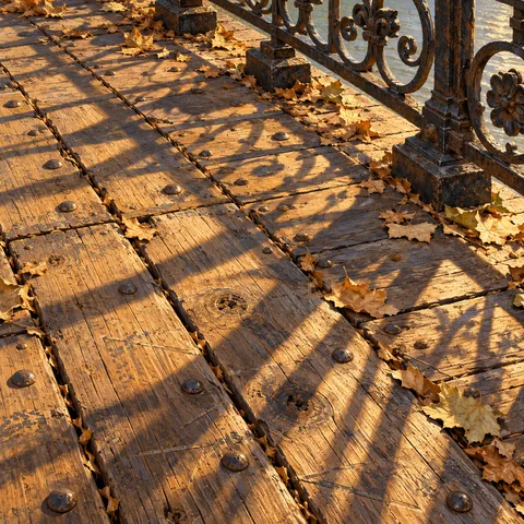 Weathered wooden planks of a bridge deck in morning sunlight, with scattered dried leaves, dark iron rivets, and long diagonal shadows from a cast-iron railing.